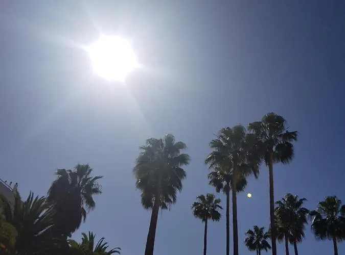 Vina Del Mar Διαμέρισμα *